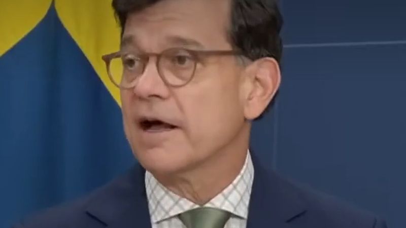 İsveç'in eski ulusal güvenlik danışmanı Henrik Landerholm istinafta suçlu bulundu