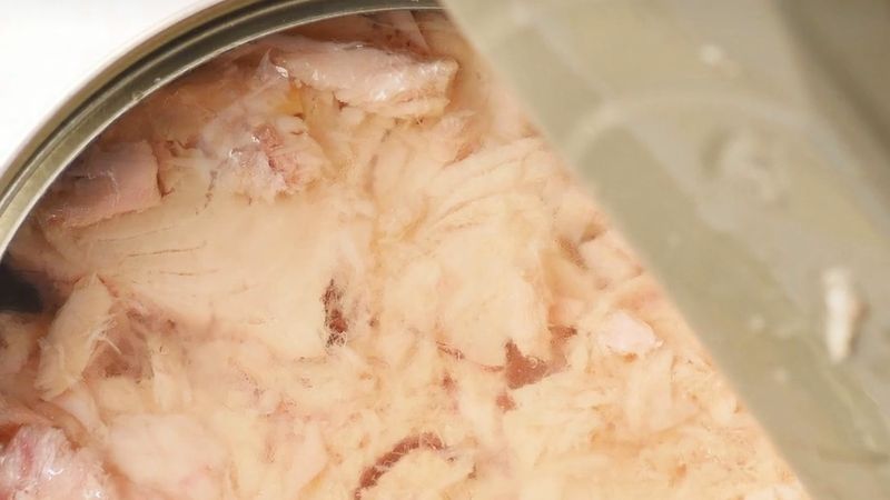 İsveç'te test edilen 11 ton balığı konservesinin hepsinde hormon bozucu BPA bulundu