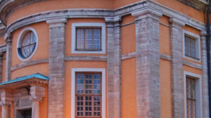 Karlskrona'da kedi için ev araması kararı: kedi sahibine teslim edildi
