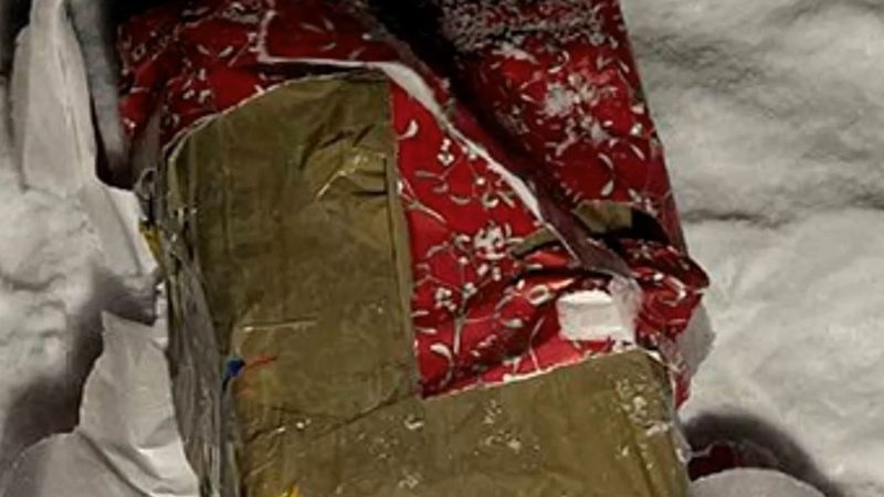 İsveç'te hediye paketi görünümlü bombayla 13 yıl hapis alan genç Yüksek Mahkeme'ye başvurdu