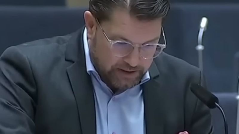 SD lideri Jimmie Åkesson: İsveçli doğmayan biri de İsveçli olabilir
