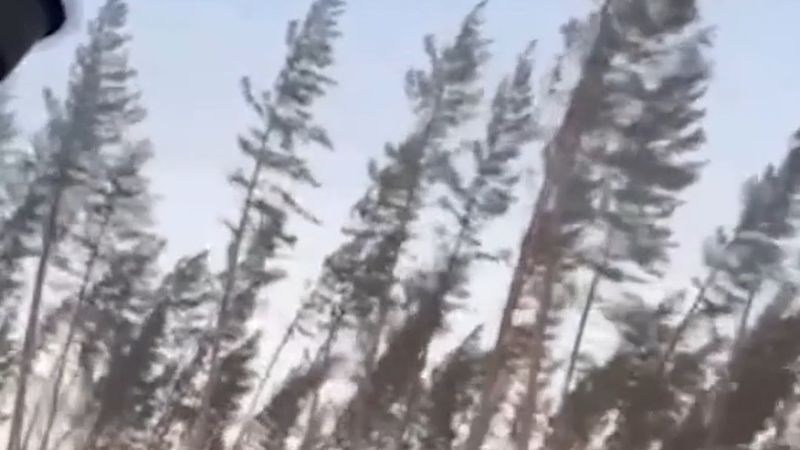 İsveç'te 25 Ekim Pazar için sarı rüzgâr uyarısı: hamleler saniyede 25 metreye ulaşabilir