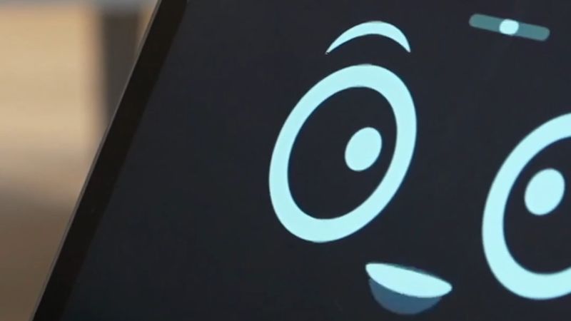 İsveç'te Nynäshamn'daki iki huzurevine Robin ve Doris adlı sosyal robotlar yerleşti