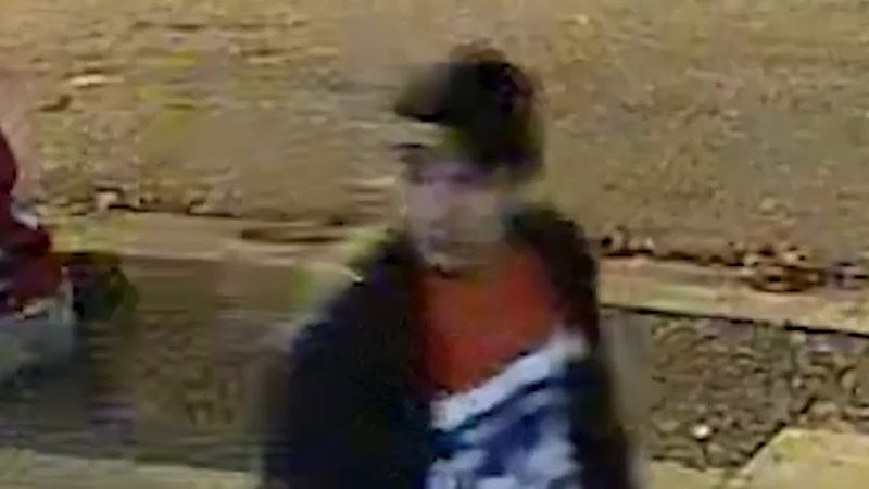 Vancouver polisi CRAB Park cinayetine tanık olabilecek kaykaylı adamı arıyor