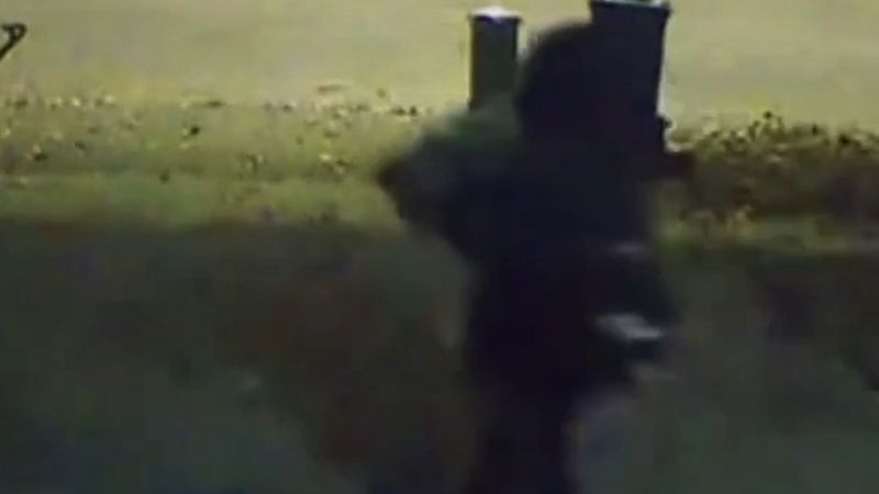 Guelph'te babasının anısına 4 yıldır verandada duran köpek heykeli kamera önünde çalındı