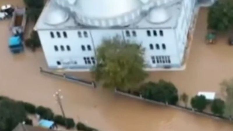 Sakarya'da Darıçayırı Mahallesi'ni su bastı