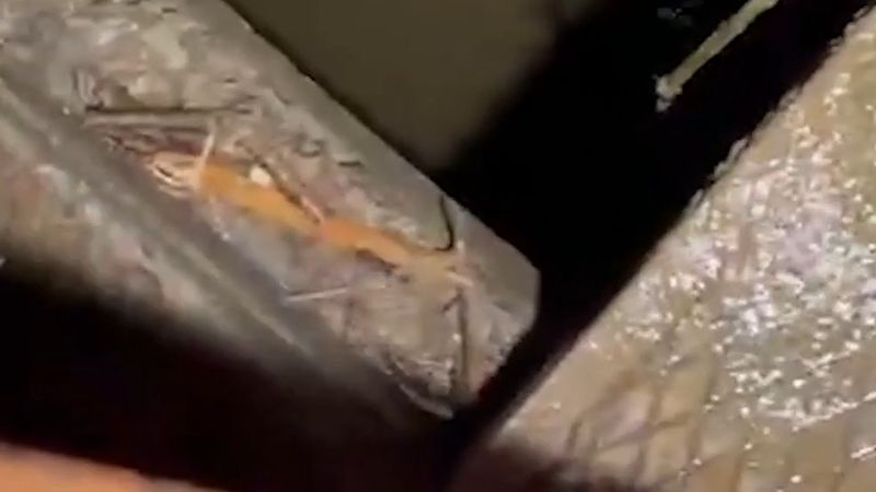Ayazağa'da 4 katlı bir binanın temelinden Dereboyu Deresi'nin geçtiği görüldü
