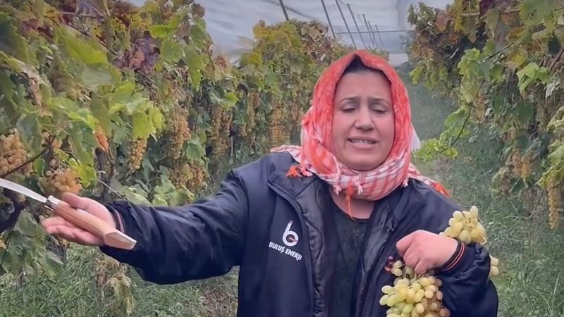 Sarıgöl'de üzüm üreticisi kadın: Bütün Türkiye'ye sesleniyorum