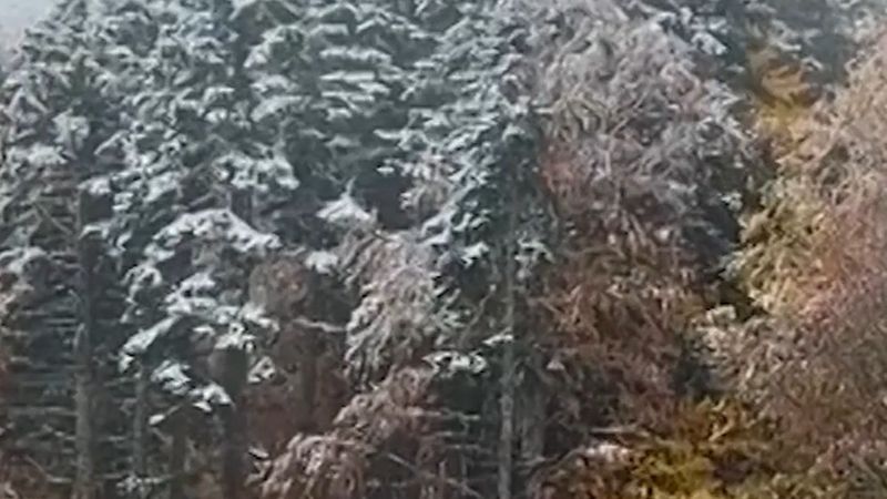 Bursa Uludağ'a kar düştü, termometre 2 dereceyi gösterdi