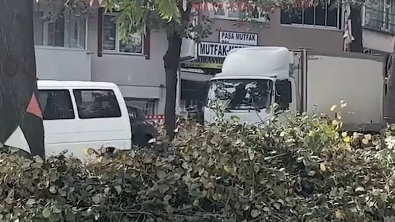 Eyüpsultan'da T7 tramvay hattı için 168 ağacın kesildiği iddiasına mahalleliden tepki