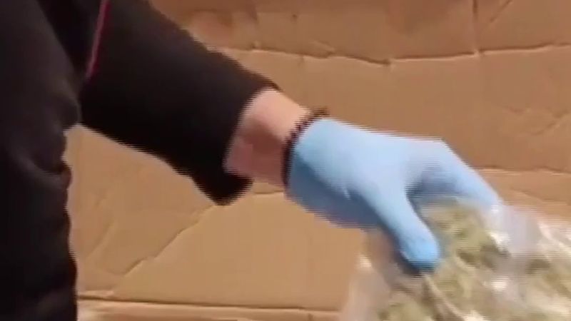 Antalya'da narkotik baskınında 7,5 kilo esrar ele geçirildi, operasyon polis kamerasında