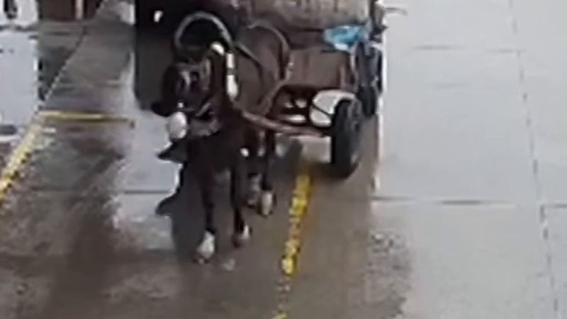 Edirne'de yakıtı biten otomobil at arabasıyla 2 kilometre çekilip benzinliğe götürüldü