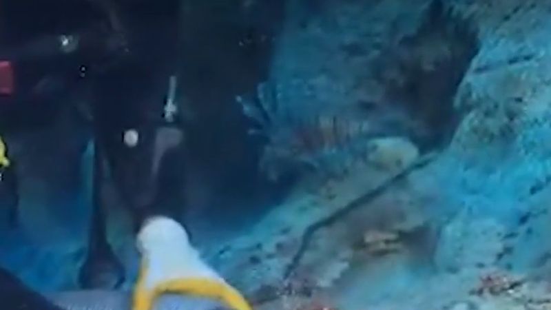 Kekova'daki su altı kazısında yaklaşık 4 bin 700 yıllık amforalar çıkarıldı