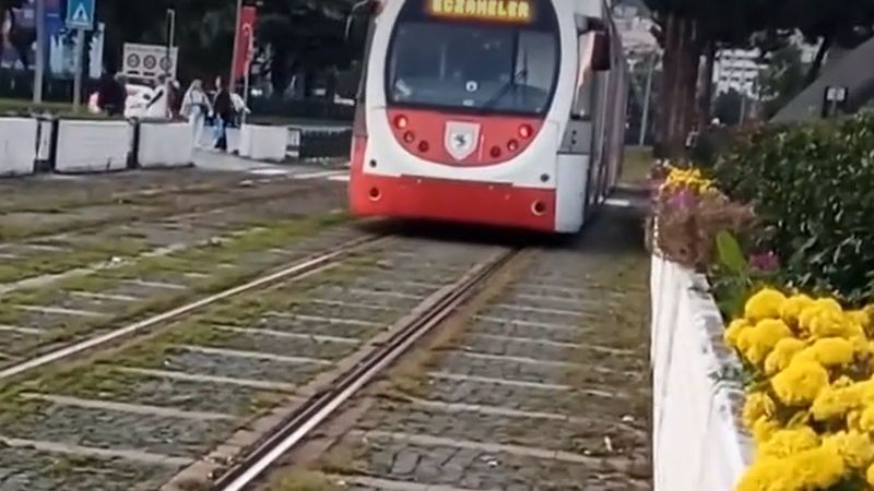 Samsun'da tramvayın altına kaçan yavru kedi sağ çıktı