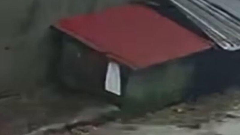 Zonguldak'ta istinat duvarının çöktüğü an kamerada: 2 araç ve köpek kulübesi enkaz altında kaldı