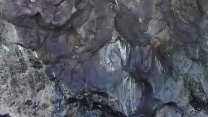 Artvin'de gençlerin denizdeki 8 metrelik kayaya kurduğu Martıevi ilgi çekiyor