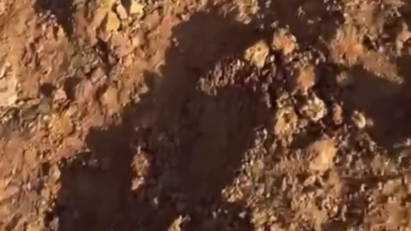 Erzurum'da çukura düşen iki ayı ve köpek iş makineleriyle kurtarıldı
