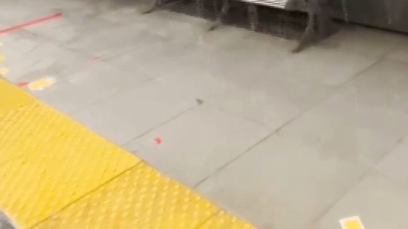 Yenibosna metro istasyonunda tavandan su sızdı; vatandaşlar şaşkınlık yaşadı