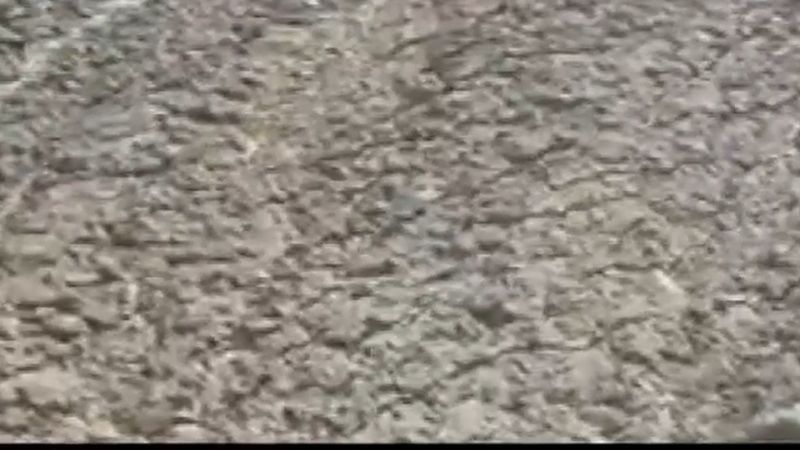 Buca'da çamur depolama alanına düşen köpek şişme botla kurtarıldı