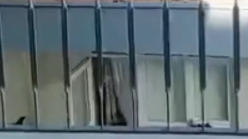 Antalya Serik'te yanan dairenin balkonuna tırmanan kiracı Muzaffer Yıldız mahsur kalan kediyi kurtardı