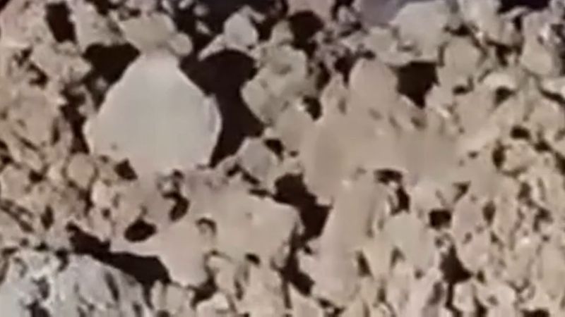 İskenderun'da çöpe atılan 1 ton 360 kilo bozuk et satılmak üzereyken yakalandı