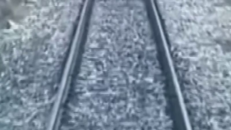 Sivas Divriği'de anne ayı ve iki yavrusu yolcu treninin önüne çıktı