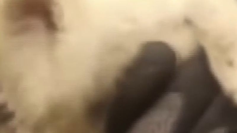 Diyarbakır Dicle Üniversitesi dükkânında itfaiye demir profili spiralle kesip yavru kediyi kurtardı