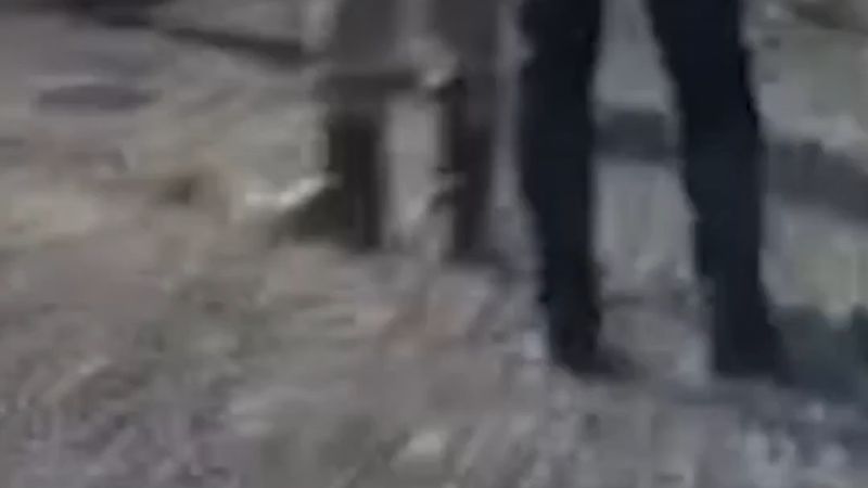 Ağrı Hamur'da pancar yüklü tır ile otomobil çarpıştı: 4 ölü