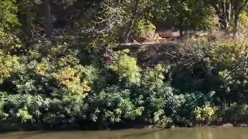 Meriç Nehri'nde kayıp 2 çocuk aranırken nehirde başka bir ceset bulundu