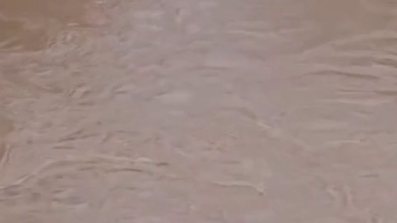 İstanbul Ağva'da Yeşilçay Deresi taştı; yollar, tarım arazileri, evler ve bazı iş yerleri su altında kaldı