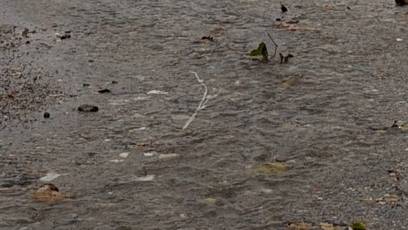 Amasra'da fırtına: dalga boyu 6 metreye ulaştı, balıkçı tekneleri limana demirledi